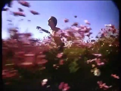 The Basketball diaries Bande-annonce VO