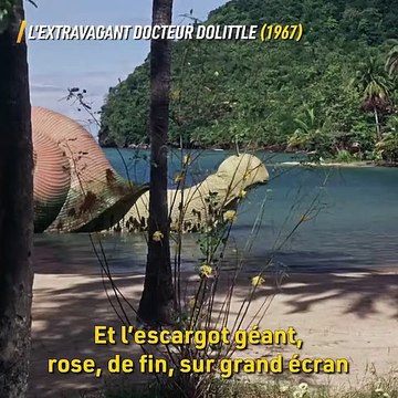 #OnIraTousAuCinéma - Alain Chabat