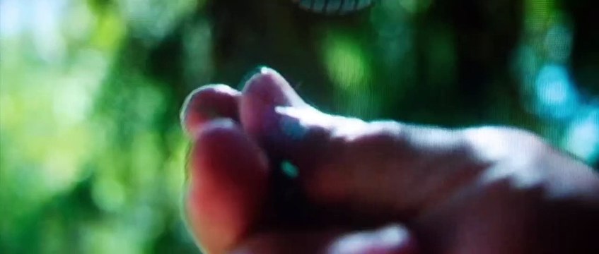 Nine Days Bande-annonce VO