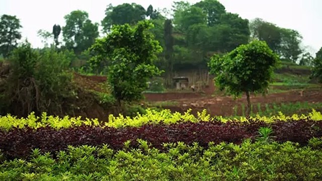 CHINE, Les sirènes du fleuve Yangzi Bande-annonce VF