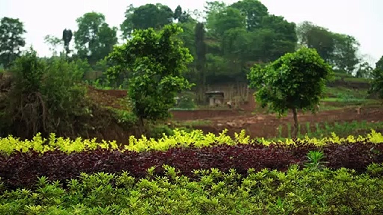 CHINE, Les sirènes du fleuve Yangzi Bande-annonce VF