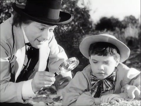 Monsieur Fabre Bande-annonce VF