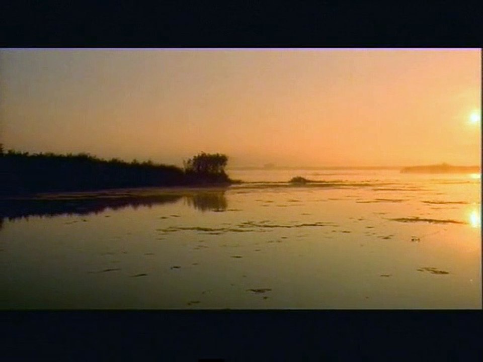 Delta Extrait vidéo (4) VO