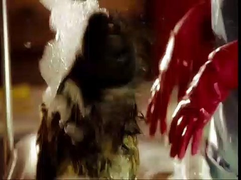 Palace pour chiens Bande-annonce VF