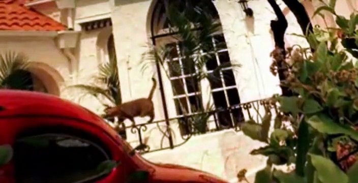 Nightmares & Dreamscapes: From the Stories of Stephen King S01 E03