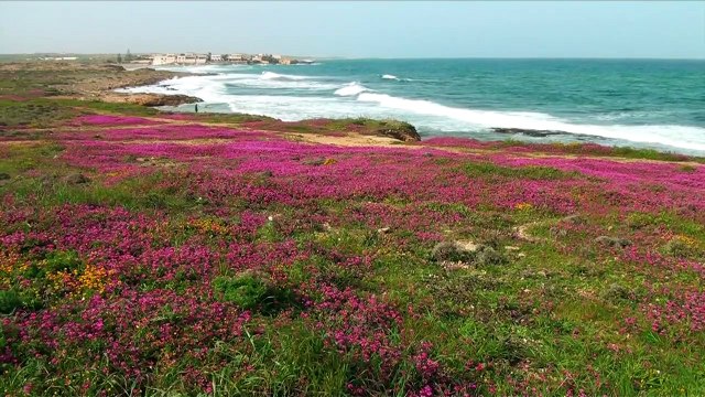 La Sicile, Merveille de la Méditerranée Bande-annonce VF