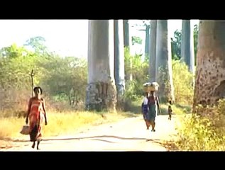 Mahaleo Bande-annonce VO