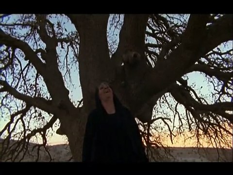 Là-bas il fait froid Bande-annonce VO