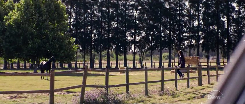 Black Beauty Bande-annonce VF