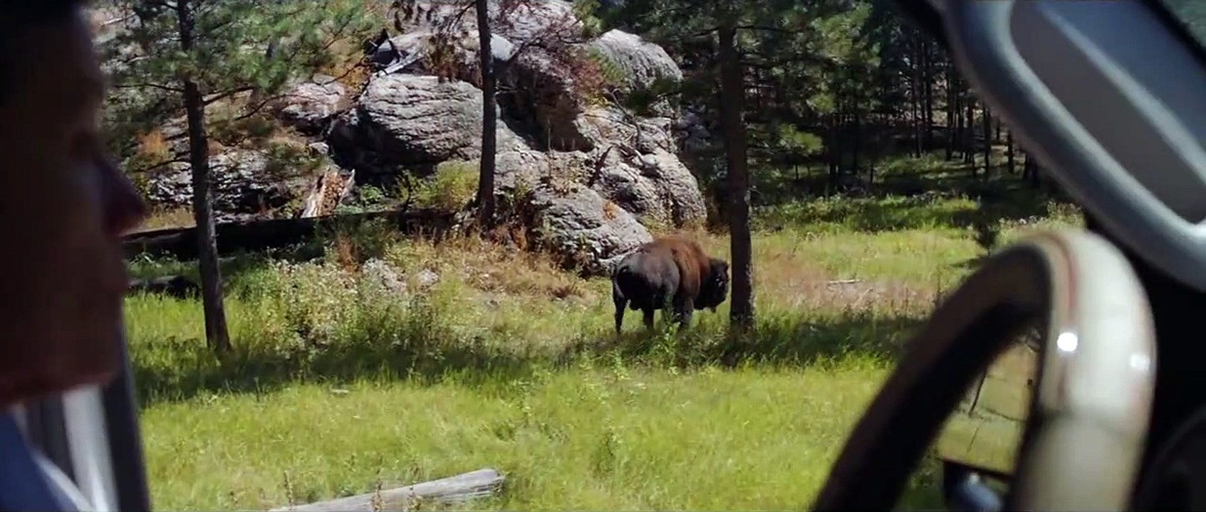 Nomadland Bande-annonce VF