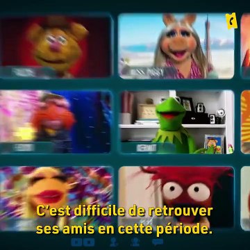 Miss Piggy en visio pour Le Nouveau Muppet Show
