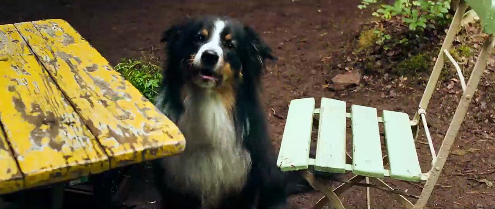 Le Club des Cinq et la vallée des dinosaures Bande-annonce VF