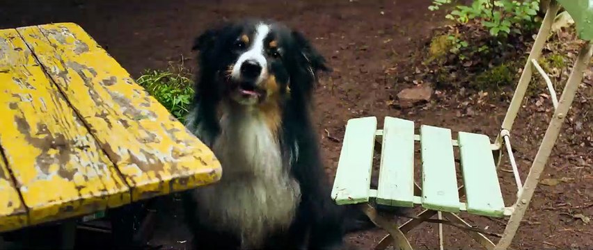 Le Club des Cinq et la vallée des dinosaures Bande-annonce VF