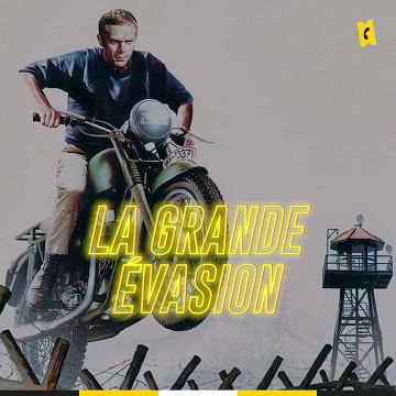 Steve McQueen, le King of Cool