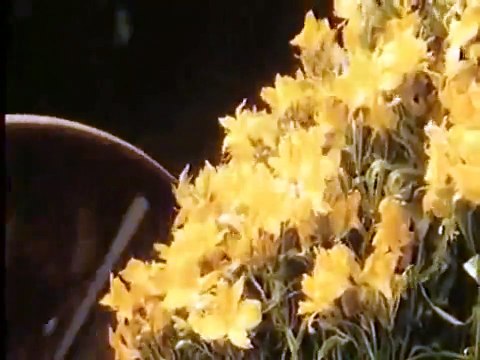 Les Soeurs Brontë Bande-annonce VF