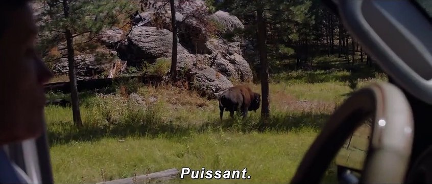 Nomadland Bande-annonce VO