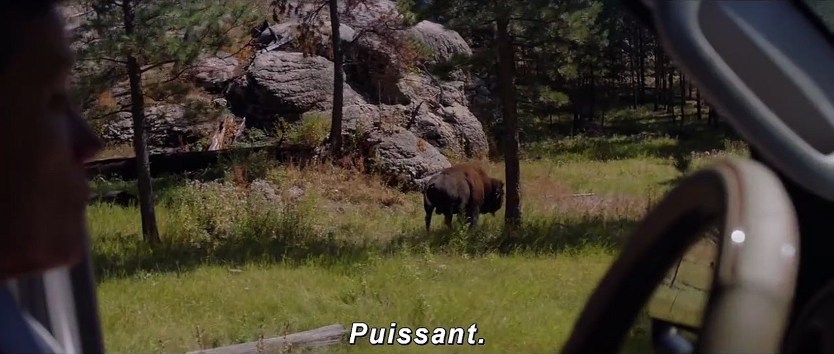 Nomadland Bande-annonce VO