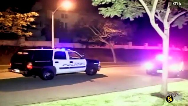 Lundi 22 novembre 2010