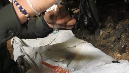 Ejército destruye megalaboratorio del ELN para producir cocaína