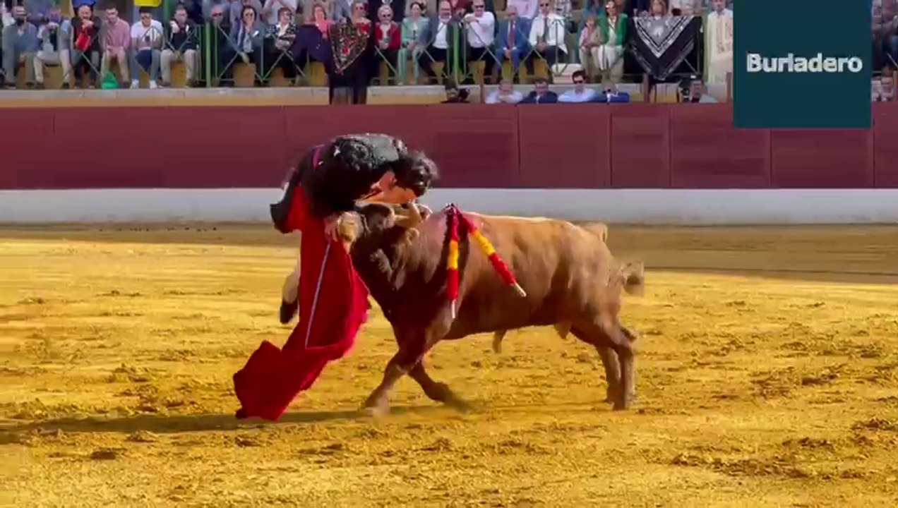 Morante cogido en La Línea