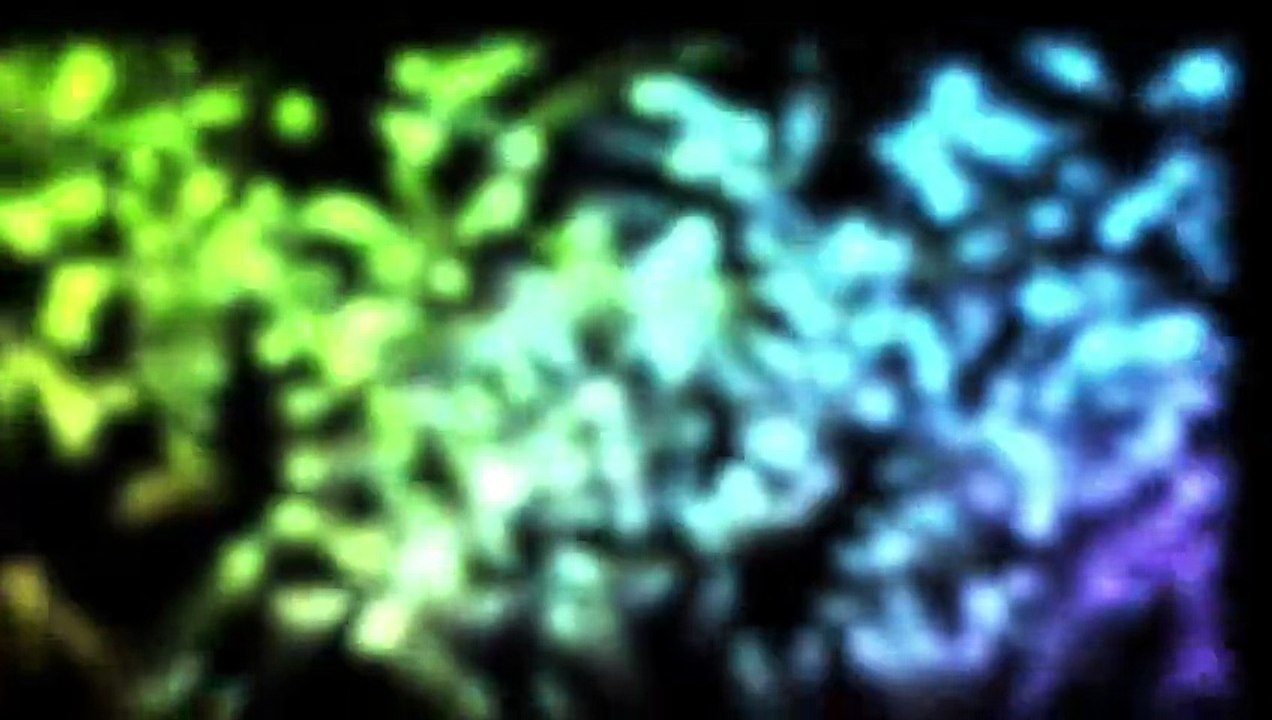 Spéciale Paris Games Week 2010