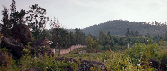 Petit Pays EXTRAIT VF "Les mangues"