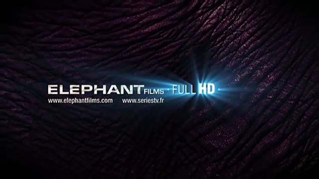 Les Fiancées en folie Bande-annonce VO