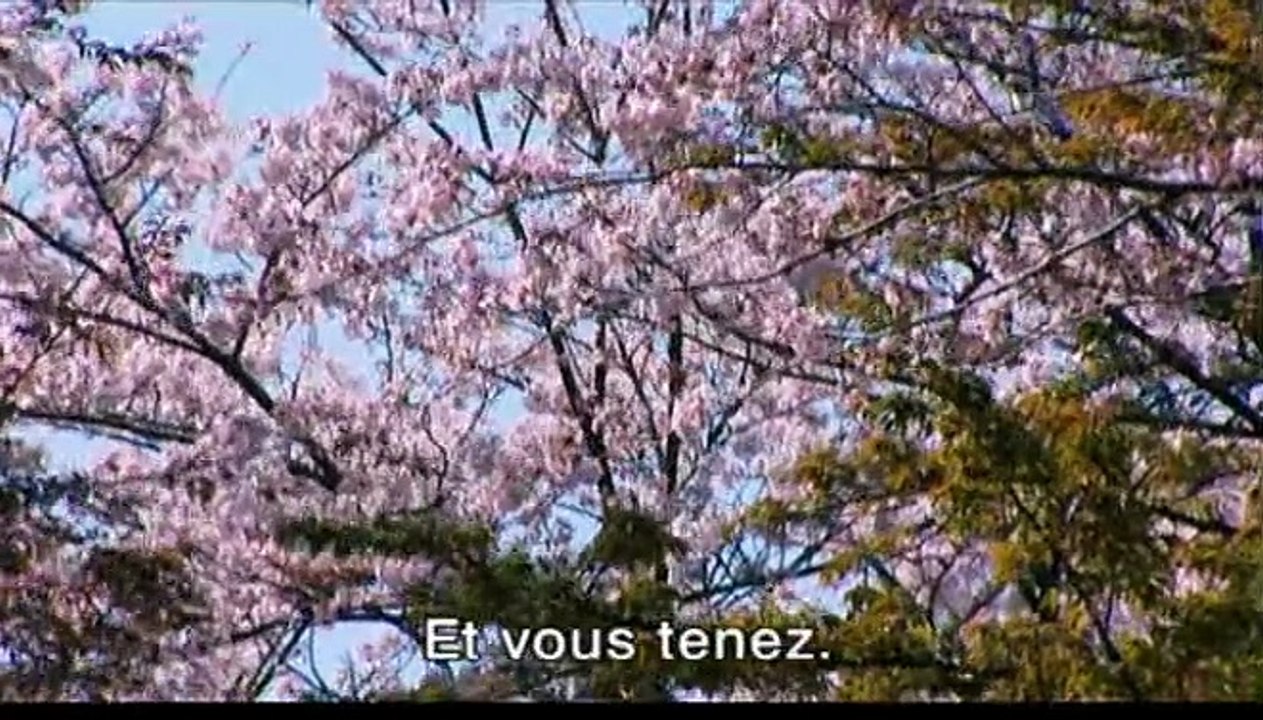 Cherry Blossoms Extrait vidéo (4) VO
