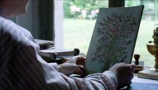 Séraphine Extrait vidéo (3) VF