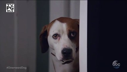 Downward Dog saison 1 teaser VO "Critics"