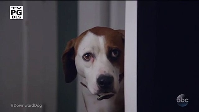 Downward Dog saison 1 teaser VO Critics