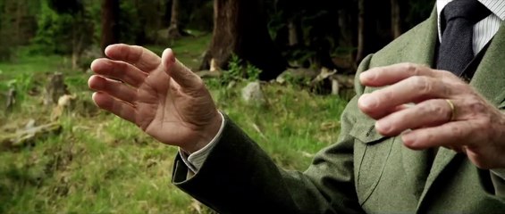 Youth - EXTRAIT VOST "La symphonie des vaches"