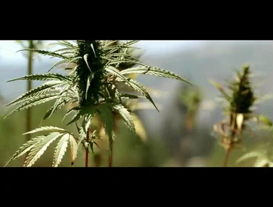 Roschdy Zem Interview 2: Go Fast