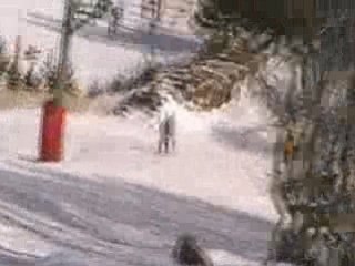 Chute de vlinou à Super Besse