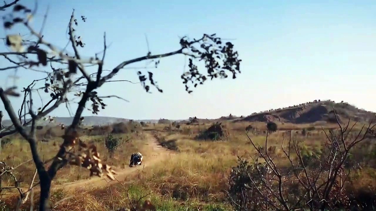 Makala EXTRAIT "Transport"