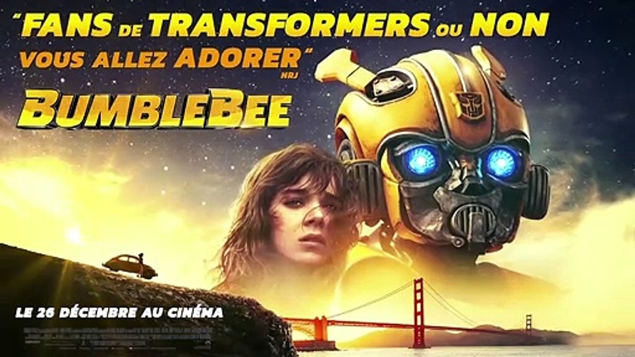 Bumblebee SPOT VF