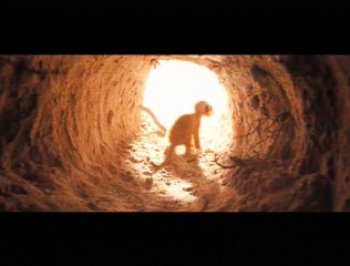 La Famille Suricate Extrait vidéo VF