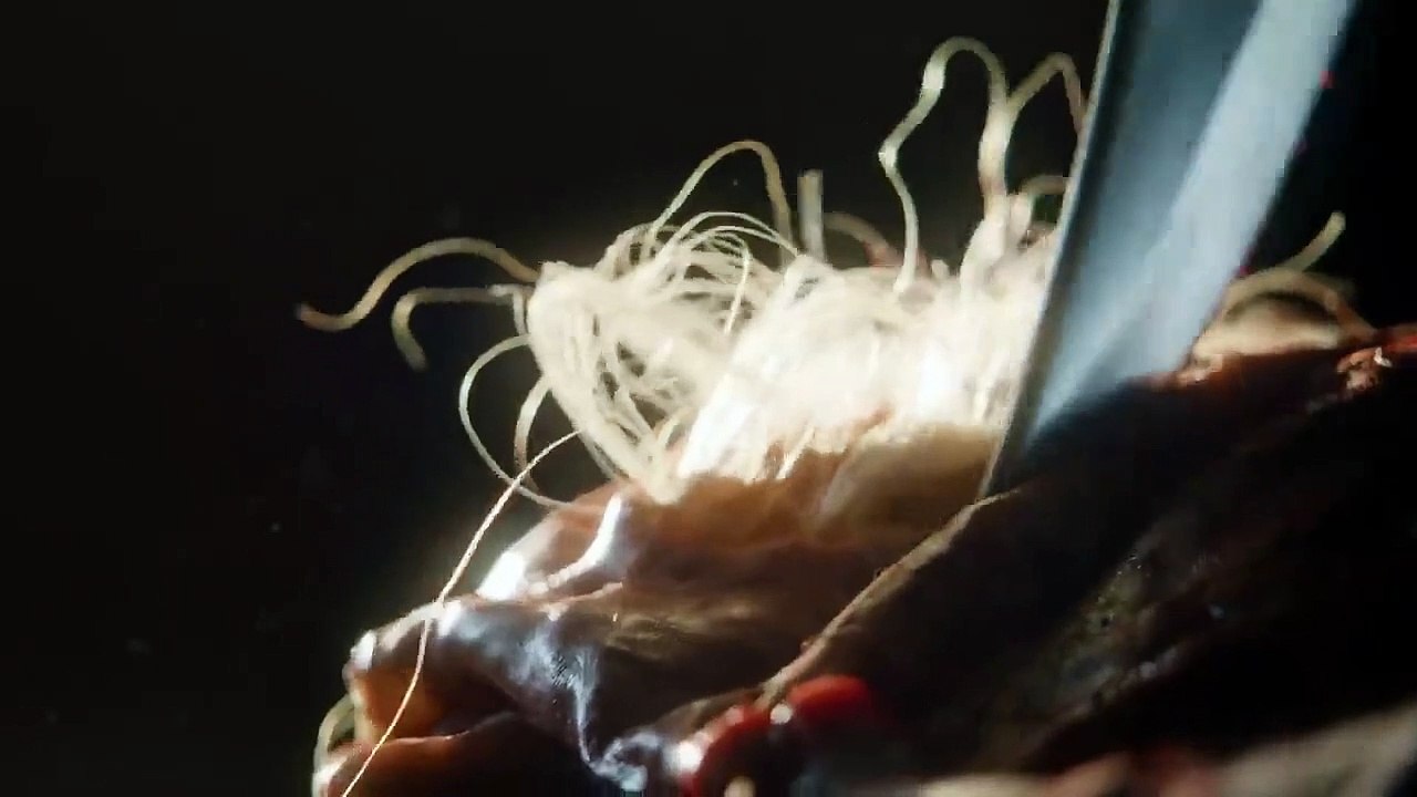 The Walking Dead - saison 9 Teaser VO : Alpha se dévoile