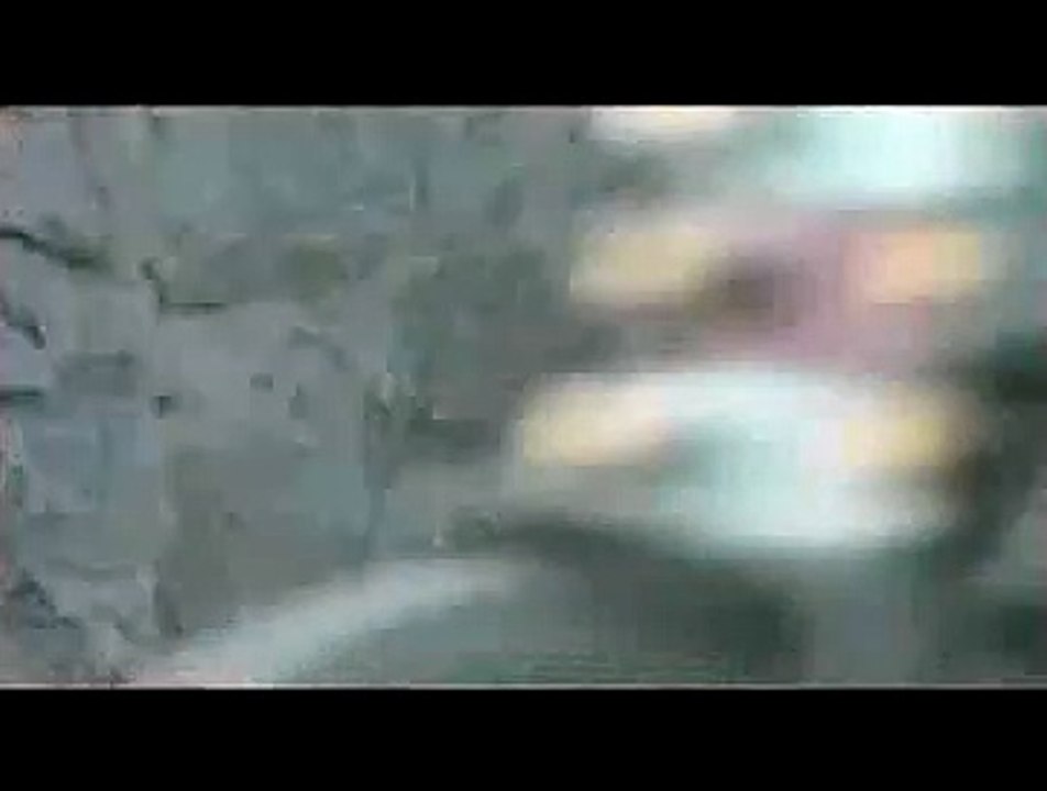 Chiens égarés Extrait vidéo VO