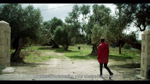 Sème le vent Bande-annonce VO