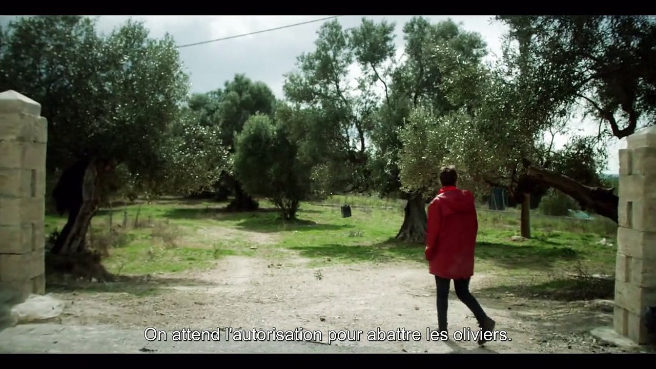 Sème le vent Bande-annonce VO