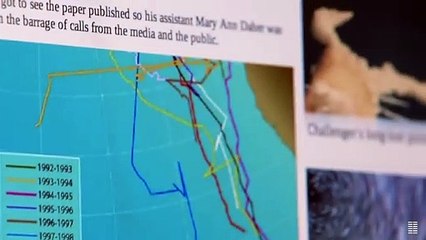 The Loneliest Whale: The Search For 52 Bande-annonce VO