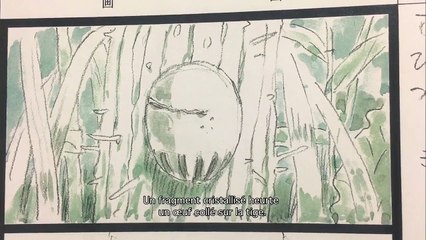 Never-Ending Man : Hayao Miyazaki EXTRAIT VOST "La Naissance de Boro"