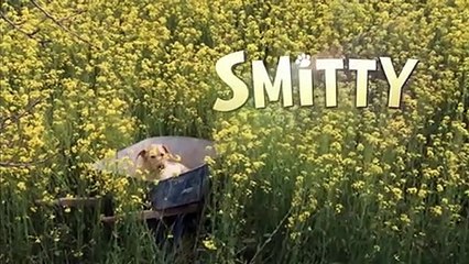 Smitty le chien Bande-annonce VO