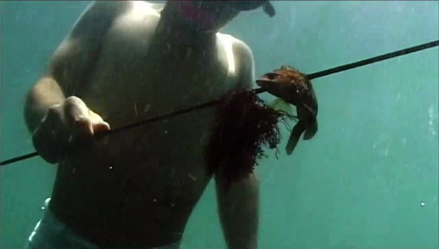 Le Chant d'une île Bande-annonce VF