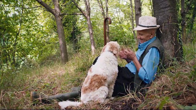 The Truffle Hunters Bande-annonce VO