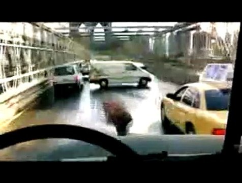 Interview 1 - Anglais