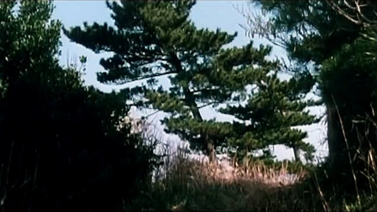 La Servante et le samouraï Extrait vidéo (2) VO