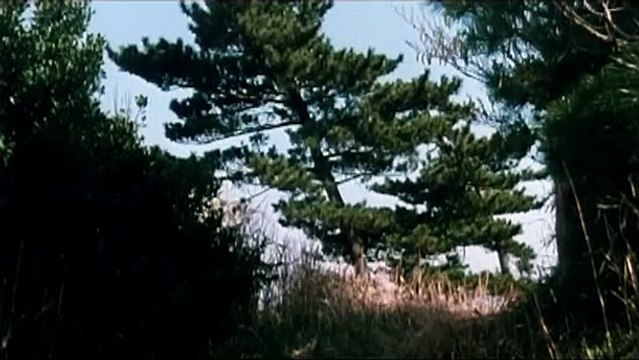 La Servante et le samouraï Extrait vidéo (2) VO