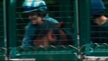 Lads et jockeys Extrait vidéo (3) VF